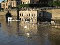 Hochwasser (130)
